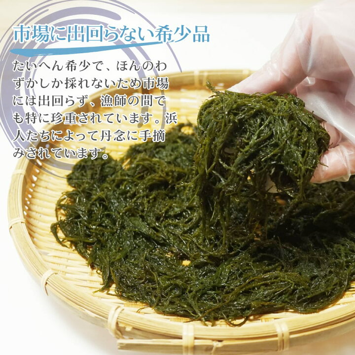 204円 激安卸販売新品 海藻 生銀杏草 150g 生冷凍 天然函館産 採れたてをそのままの天然海草 204円 激安卸販売新品 海藻 生銀杏草 150g 生冷凍 天然函館産 採れたてをそのままの天然海草