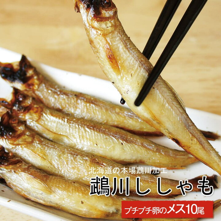 楽天市場 干物 北海道産 本ししゃも メス 10尾 卵たっぷりプチプチ食感が最高 函館マルユウ漁業部 楽天市場店