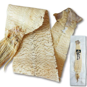 _|Cg5{^Ă 1  60cmȏ  Y RȖ킢 ̂  ܂