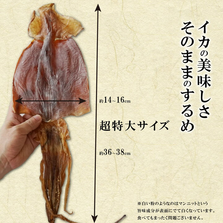 楽天市場】北海道産 するめ 100g前後×2枚 超特大サイズ 本場函館の 