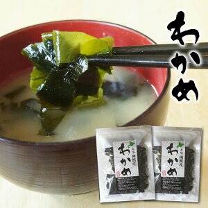 Jbg킩 50g×2 kCَY Y 킩  Hׂ₷TCY C T_ ݂`