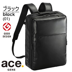 G[XW[ rWlXbN obNpbN  16bg KWF^uWR2 PCΉ B4 2[ XNGA ace. GENE 68663