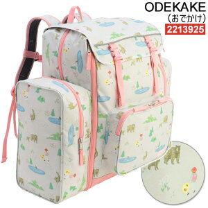 yyVLO܁zъԊwZ bN R[} TubN e 50bg Coleman gbNpbN ^bNTbN TubN Cws ՊCwZ hwK 킢 w