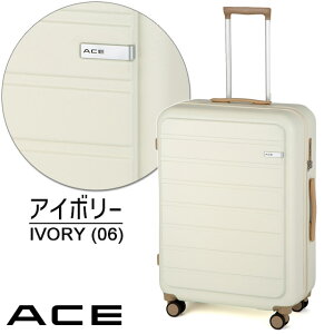 yZ[zX[cP[X ACE G[X 65Z` 68bg tbg{[h L[P[X s COs Cws 05433