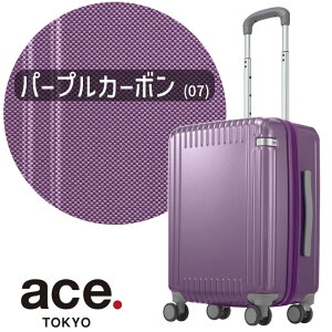 ace. TOKYO G[X g[L[ [x pZCh3 Z X[cP[X Wbp[^Cv 47Z` 32bg @ݑΉTCY 2 3 G[X ACE Palisades3-Z L[P[X s COs 