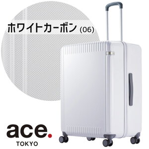 ace. TOKYO G[X g[L[ [x pZCh3 Z X[cP[X Wbp[^Cv 64Z` 100bg 5 6 1T G[X ACE Palisades3-Z L[P[X s 06916