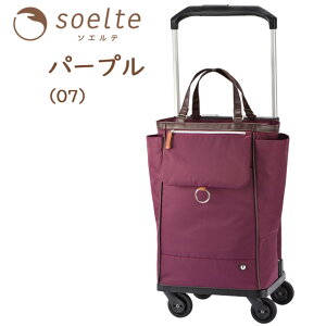 \Ge \tg L[obO L[ I[gDC 21bg LX^[t soelte L[P[X G[X ACE 35981