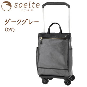 \tg L[obO L[ LX^[Xgbp[ \Ge Jh2 () 24bg selte L[P[X @ G[X ACE 35985