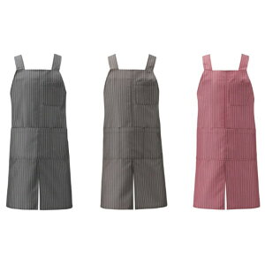 apk489-s ăGvHiXgCvj   KAZEN J[