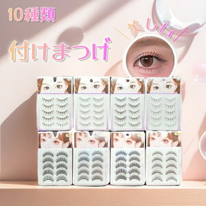 yubNtCf[N[|IlC10ށIzt܂ 10X^C r[eB[lC[ ACbVo[pbN VP BEAUTY NAILER L i` ڐK  ̂܂ NXV