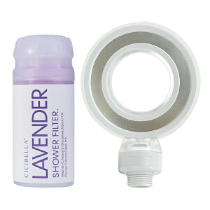 yubNtCf[N[|IoX^CvIzCICIBELLA V[wbh V[tB^[ X^[^[Zbg lC cf  V[ ߐ  e  ь PA X