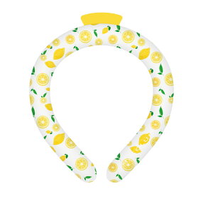 y_tf[N[|IAPCMfގgpI z⊴O lbNN[[ qTCY Ђ胊O lbNN[ ACX N[O N[lbN IȂ Ђ ⊴ 