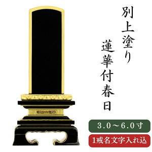 ʔv ʏh @tt 3.0`6.0     ꖳ ʔv ʔv hʔv