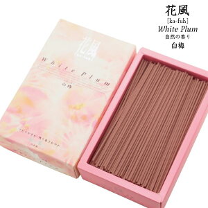 ԕ|~̍- Ȃߎc荁₩ ފ ~ }