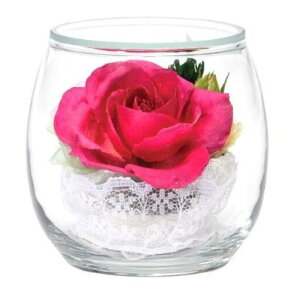 {gt[   { 䋟  킢 Mtg  sN bh p[v ~ @ @v ފ dp Ηp V~ ފ ~ } vU[uht[ vU[