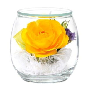 {gt[   { 䋟  킢 Mtg  sN bh p[v ~ @ @v ފ dp Ηp V~ ފ ~ } vU[uht[ vU[