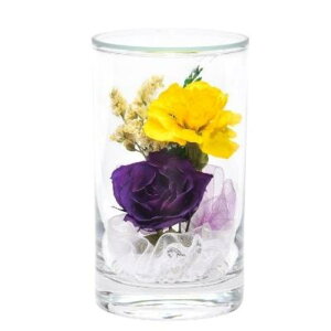 {gt[   { 䋟  킢 Mtg  sN bh p[v ~ @ @v ފ dp Ηp V~ ފ ~ } vU[uht[ vU[