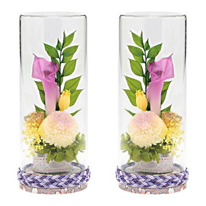 �v���U�[�u�h�t�����[ ���V �{�g���t�����[ �L�c�āi������j�Γ� ����܂� �z���C�g �p�[�v�� �O���[�� ���{�� 2�Z�b�g ���E�Ώ� �䋟 ���� ���킢�� �M�t�g ������ �s���N ���~ �@�� �@