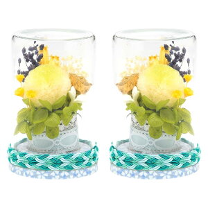 �v���U�[�u�h�t�����[ ���V �{�g���t�����[ �L�c�āi������j�Γ� �{���{���e ������ �s���N �z���C�g �O���[�� ���{�� 2�Z�b�g ���E�Ώ� �䋟 ���� ���킢�� �M�t�g ������ ���~ �@�� �@