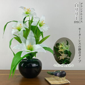 FɈڂς ~ Oh~iX [ STD LED ȃGl [^[X É^Cv V~ ~ @ @v p Mtg 