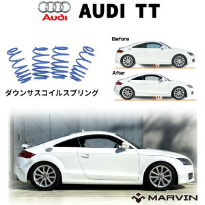 yMARVIN(}[B)Аz[_ETXyV RC/XvO [TX ԍ  30mm_EAUDI AEfB TT S 2006N`2014N