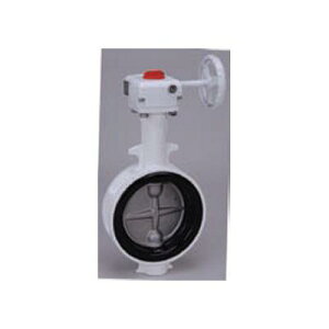 mo y`F10L2-N-U-CN-65 iR[hF01001356z ̌`OlbN(ۉEۗp)10L2-N-U-CN-65