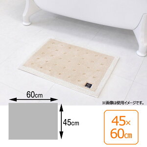 INAX LIXIL NV ySL-BM-KA-0407z xǍDN[tbg oX}bg 45×60cm^x[Wiܓj^EoXpi [KA-0407]