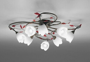 �I�[�f���b�N �V�����f���A �yOC257025NR�z�yOC 257 025NR�z