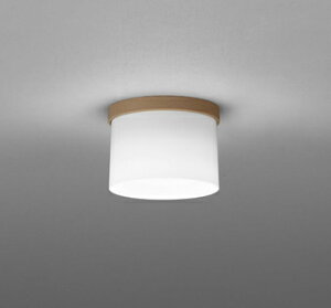 �I�[�f���b�N �V�[�����O���C�g �yOL291269WR�z�yOL 291 269WR�z