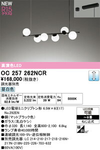 �I�[�f���b�N �V�����f���A �yOC257262NCR�z�yOC 257 262NCR�z
