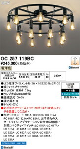 �I�[�f���b�N �V�����f���A �yOC257119BC�z �yOC 257 119BC�z