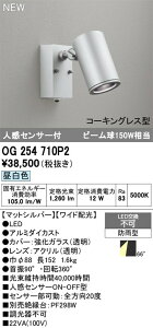 �I�[�f���b�N �X�|�b�g���C�g �yOG254710P2�z �yOG 254 710P2�z �G�N�X�e���A���C�g