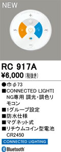 �I�[�f���b�N �R�l�N�e�b�h���C�e�B���O �yRC917A�z �yRC 917A�z