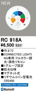 �I�[�f���b�N �R�l�N�e�b�h���C�e�B���O �yRC918A�z �yRC 918A�z