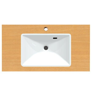 Oh[SANEI]yHW21-TLBRz JE^[ ZbgACe {Ě^ʃJE^[