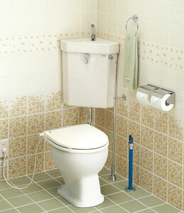 TOTO yS670BFU#SC1z tt^N i摜̓C[Wł ǐ^Ԃł̂͂ɂȂ܂