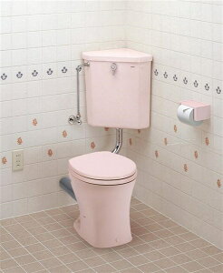 TOTO yS570B#SC1z t^N i摜̓C[Wł ǐ^Ԃł̂͂ɂȂ܂