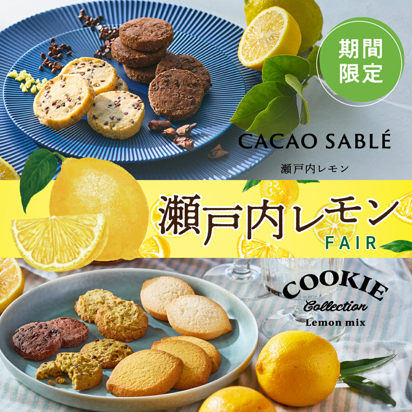 楽天市場 | メリーチョコレート楽天市場店 - レモンフェア