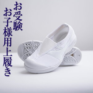 yV[Yz  ʐ wZ  sώ@ c V[Y 㗚 zCg 㗚  C  󌱃ObY jes-2101