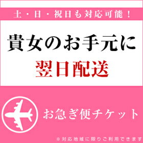 翌日の配送が可能に!【お急ぎ便チケット】※配送可能地域を必ずご確認ください。【10P13sep10】