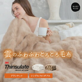 【最大55％OFFクーポン】 毛布 シンサレート もこもこ毛布 厚手 シングル ダブル セミダブル ひざ掛け 掛け敷き ふわふわ ぽこぽこ 毛布 ブランケット あったか 暖かい 毛布 2枚合わせ 4層構造 毛布 洗える おしゃれ 毛布 冬 寝具 寒さ対策