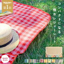 ＼クーポンで792円〜／【楽天1位】 レジャーシート 子供 撥水 折りたたみ 145×80 1人用 2人用 ピクニックシート 洗える コンパクト 軽量 持ち運び おしゃれ 可愛い ラグ 敷物 バッグ型 収納 子供 家族 遠足 花見 運動会 ピクニック アウトドア レジャー