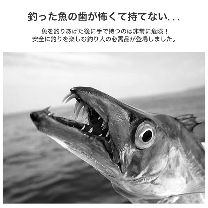 楽天市場 フィッシュグリップ フィッシュキャッチャー 釣り道具 便利グッズ 釣り具 釣り 掴む つかむ道具 フィッシング 魚の頭をつかむ カラビナつき 送料無料 Maryplus マリープラス