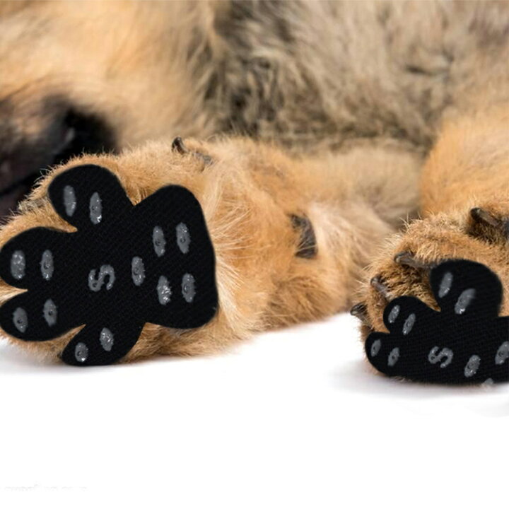 大量入荷 犬 滑り止め シール フローリング フットパッド ペット用滑り止め 靴 靴下 階段 足裏保護 転倒防止 シニア犬 Shipsctc Org