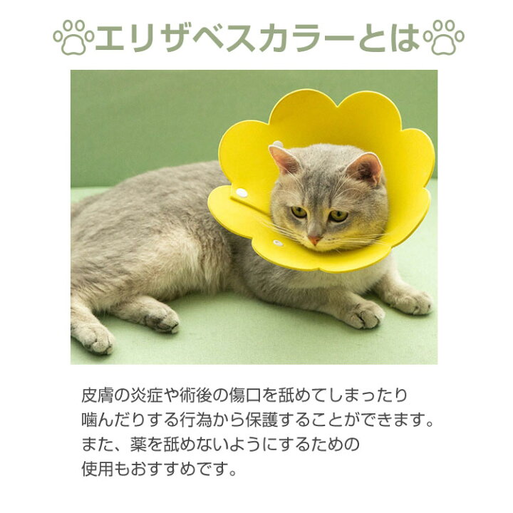 楽天市場】ソフトエリザベスカラー 軽い 柔らかい 犬 猫 サイズ調節可能 介護 ケガ ケア 手術後 かわいいお花の形 EVA素材 ストレス軽減 ペット用 ソフトエリザベスカラー 送料無料 : MARYPLUS マリープラス 楽天市場】ソフトエリザベスカラー 軽い 柔らかい 犬 猫 サイズ調節可能 介護 ケガ ケア 手術後 かわいいお花の形 EVA素材 ストレス軽減 ペット用 ソフトエリザベスカラー 送料無料 : MARYPLUS マリープラス