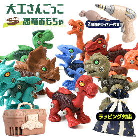 恐竜 おもちゃ セット 組立 入園祝い 卒業 セット 変形 大工ごっこ 組み立て DIY おもちゃ ネジ 大工さんごっこ 立体パズル おままごと 電動ドリル ドライバー 知育玩具 ブロック 恐竜 好き 子供 子ども 小学生 3歳 4歳 5歳 6歳