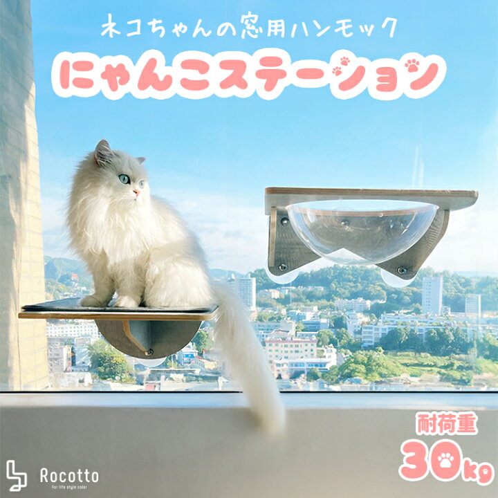 楽天市場】猫 ハンモック 窓 ハンモック ステップ付き 吸盤 透明 宇宙 