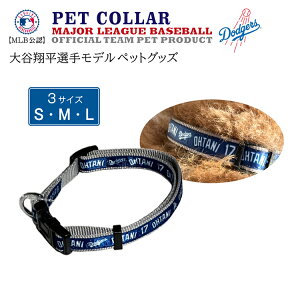 MLBPA MLBF ybgp J[ Jf SHO-3588   hW[X uh Ki Vi Mtg v[g  j a D 싅D ybgObY ybg