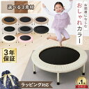 【P3倍★18日まで】トランポリン 子供 トランポリン家庭用 折りたたみ 静音 ゴム 92cm 家庭用 耐荷重115kg 子供用 ス…