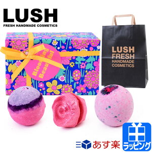 ラッシュ 入浴剤 ギフトの人気商品 通販 価格比較 価格 Com